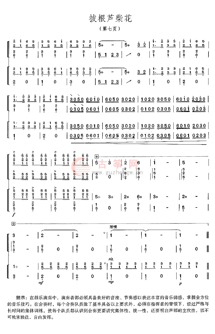 拔根芦柴花 - 流行古筝曲谱 - 古筝曲谱 - 中国古筝